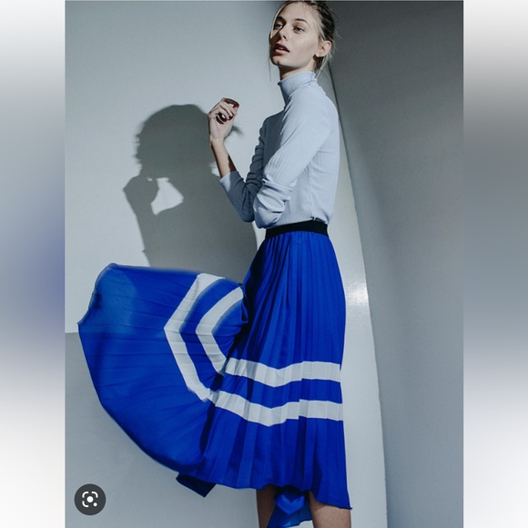 Zara Skirts Zara Net Pleated Skirt Poshmark